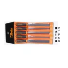 1719BMA8/B5-5 darab egyengető reszelő