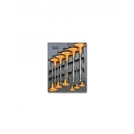 T50 Kemény hőformált műanyag tálca szerszámkészlettel