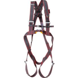 C0801000499999, LANEX PSHBASICMXL testhevederzet