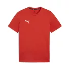 Puma teamGOAL póló