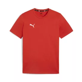 Puma teamGOAL póló
