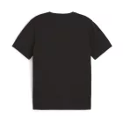 Puma teamGOAL póló