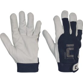 crv_0101010099110 PELECANUS kesztyű  - 11