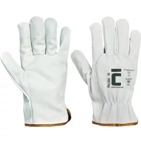 crv_0102006599090 PALLIDA bőrkesztyű - 9