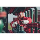 crv_0102006599090BN PALLIDA akasztófüle - 9