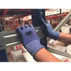 crv_0113011899100 TB 413RF TFLN kesztyű - 10