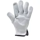 cvg_1DRI124009 EUROSTRONG SZÜRKE KESZTYŰ BIVALYBŐR TENYÉRREL_9