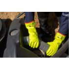 cvg_1WICH00010 EUROWINTER F110 TYPE A COLD 2 SÁRGA PVC S-L-O_35 CM_10