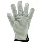 cvg_2209 BŐRKESZTYŰ, BÉZS SZÍNMARHA TENYÉR ÉS KÉZHÁT_9