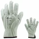 cvg_2209 BŐRKESZTYŰ, BÉZS SZÍNMARHA TENYÉR ÉS KÉZHÁT_9