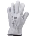 cvg_2221 BŐRKESZTYŰ, SZÜRKE SZÍNMARHA TENYÉR ÉS KÉZHÁT_11