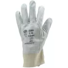 cvg_2261 BŐRKESZTYŰ, SZÜRKE SZÍNMARHA, GUMIS CSUKLÓ, ARTÉRIAVÉDŐ_11