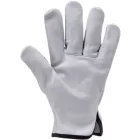 cvg_P2219 BŐRKESZTYŰ, SZÜRKE SZÍNMARHA TENYÉR ÉS KÉZHÁT_BLISZT_9