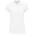 utt_ka2001wh-2xl Kariban KA2001 LADIES' SUPIMA® SHORT SLEEVE POLO SHIRT 2XL