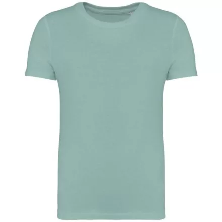 utt_ns307jg-12-14 Native Spirit NS307 KID'S T-SHIRT 12/14