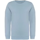 utt_ns403aqm-8-10 Native Spirit NS403 KIDS' ECO-FRIENDLY ROUND NECK SWEATSHIRT 8/10