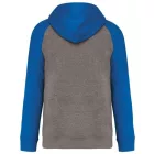 utt_pa369grh-sro-3xl Proact PA369 ADULT TWO-TONE HOODED SWEATSHIRT 3XL